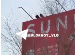 Дети забрались на гигантский рекламный щит в Волгограде: шок-видео