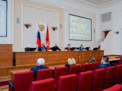 Экономия, борьба с COVID-19 и кредиты: презентовали бюджет Волгоградской области на 2021 год