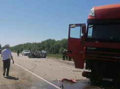 Медики о состоянии 3-летней девочки спустя сутки после ДТП под Волгоградом, где погибла ее семья