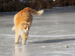 Пронизывающий ветер и гололед ждут волгоградцев на выходных 