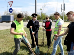 В Волгограде высадили «аллею Ангелов» в память о детях, погибших в ДТП 