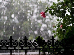 Дожди с грозами встретили волгоградцев после выходных