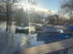 Мизулина выбила скейт-парк для Волгограда