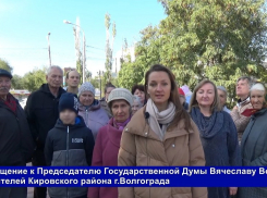 Борцы за троллейбус позвали председателя ГД Володина в Волгоград