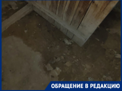 «Какое бомбоубежище, там все в фекалиях»: под угрозой живут волгоградцы в Гумраке