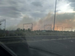 В Волгограде тушат лес на границе Дзержинского и Городищенского районов