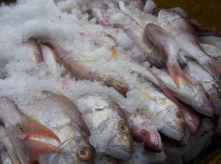 Роспотребнадзор: волгоградцев обманывают продавцы рыбопродуктов