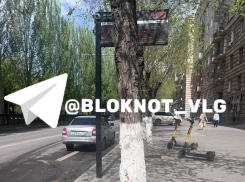 До +41 раскалились уличные термометры в Волгограде
