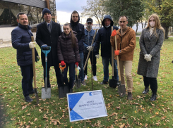 На Центральной набережной Волгограда открыли аллею землеустроителей у забытого туалета