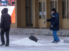 Мокрый снег и туман обрушатся на Волгоградскую область в понедельник