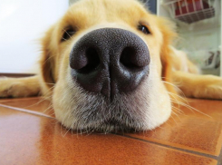 В рейтинг самых ленивых городов страны попал Волгоград