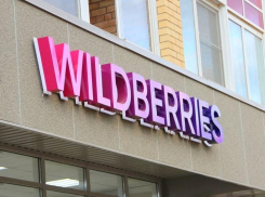 В Волгоградской области Wildberries и Russ совместно с Агентством стратегических инициатив запустят проект для предпринимателей