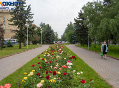 В Волгоградской области похолодает и пройдут дожди с грозами