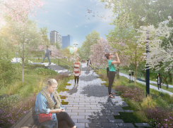 При благоустройстве второй части поймы Царицы обещают сохранить растущие деревья: волгоградцы не верят