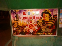 В Волгограде ветераны шокированы пиаром цирка на имени 70-летия Победы