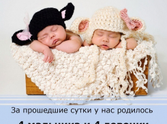 Двойня девочек и еще 6 малышей  родились на свет в начале июля в Волгограде  