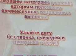 У волгоградцев под видом Госуслуг через чат-бот выманивают данные