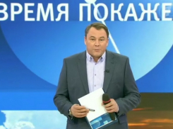 Возбуждено уголовное дело по факту поджога дома Петра Толстого под Волгоградом 