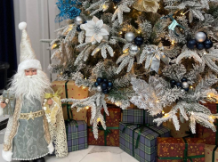 Выбрана самая красивая ёлочка Волгограда в 2024 году 