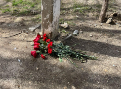 «Девочки маленькие, что же вы наделали»: стихийный мемориал возник на месте гибели школьниц в Волгограде