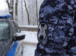 В Волгограде в ТЦ пациент психдиспансера угрожал пистолетом сотрудникам Росгвардии