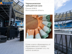 Сало в цветах флага Ирландии и перепелки: фуд-фестиваль пройдет на «Волгоград Арене»