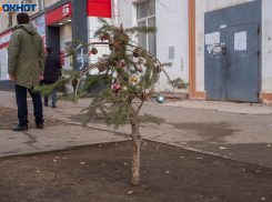 Идеальное время для выброса елки на помойку назвала астролог