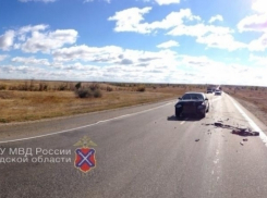 В ДТП двух иномарок на трассе «Москва — Волгоград» пострадали 2 человека