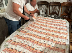 Хитрый волгоградец украл у бабушки миллион из копилки 