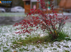 Об аномалиях погоды в ноябре в Волгограде рассказали синоптики