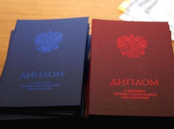 Стало известно, выпускники какого волгоградского вуза чаще всего становятся депутатами