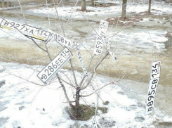 В затопленном Волгограде автомобилисты разыскивают потерянные в лужах номера