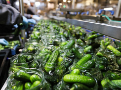 Волгоградцы позавидовали жителям Волжского из-за открытия крупнейшего в Европе консервного завода