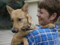 В Волгограде супруги спасли от неминуемой гибели больше 20 собак