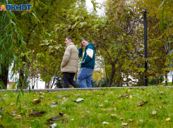 Туман и магнитная буря накроют 11 ноября Волгоградскую область