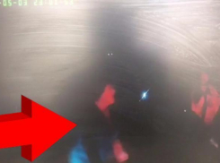 Нападение матери лихача на полицейских попало на видео под Волгоградом