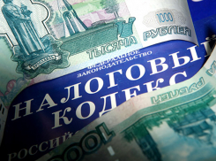 Под Волгоградом руководитель фирмы решил не платить 20 млн налогов