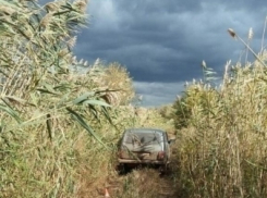 Под Волгоградом водитель «Нивы» переехал лежащего на дороге мужчину