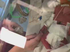 Вес пока не набирают: в Волгограде 27-летняя мама четверни рассказала о состоянии новорожденных