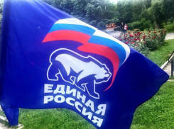Волжские единороссы выдвинули в гордуму маму-депутата и ее сыночка