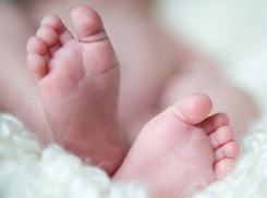 Последний рабочий день недели стал особенно «урожайным» на новорожденных волгоградцев