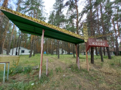 Умирает среди вековых сосен: показываем уникальный заброшенный детский лагерь Волгоградской области