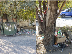 Вокзальное свинство в центре шокировало волгоградку