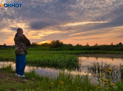 Волгоградский облкомприроды растратил “путинские” 12,5 млн рублей