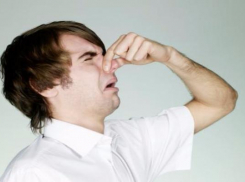 Жители юга Волгограда подверглись химической атаке 