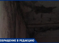 Волгоградцы показали, где они живут после пожара   