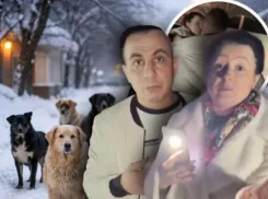 Владелица приюта объявила о роспуске 200 собак в Волгограде