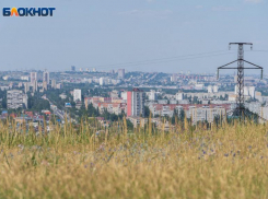 Обглоданный животными труп мужчины нашли в Волгограде