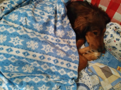 Мороз на время отступит от Волгограда