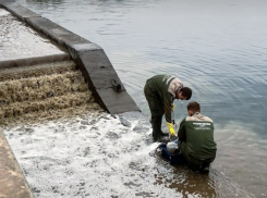 Глава Росприроднадзора пообещала не простить виновных в фекальном ЧП Волгограда